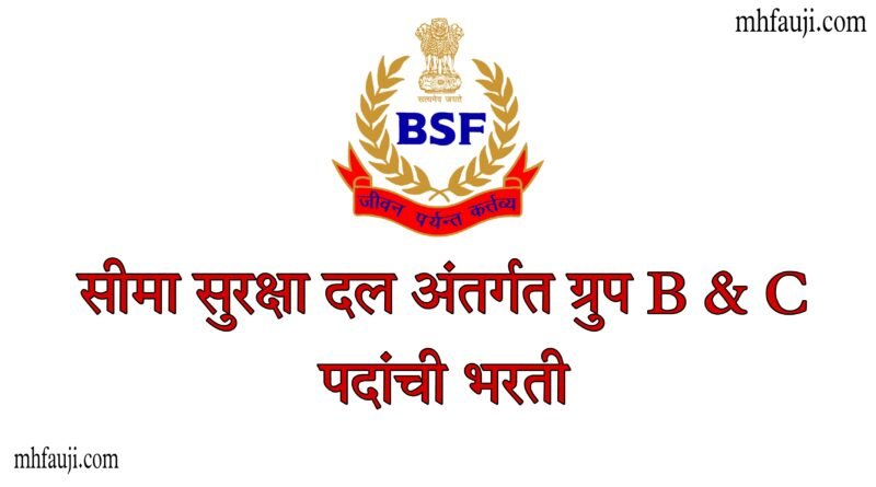 BSF recruitment